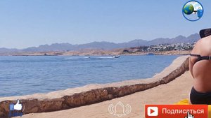 Reef Oasis Blue Bay Resort Риф Оазис Блю Бэй Резорт   Шарм эль Шейхе Египет плюшка на море