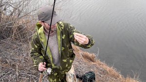 greedy guts 77 от pontoon 21