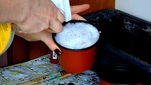 Посев семян земляники.Земляника на подоконнике.