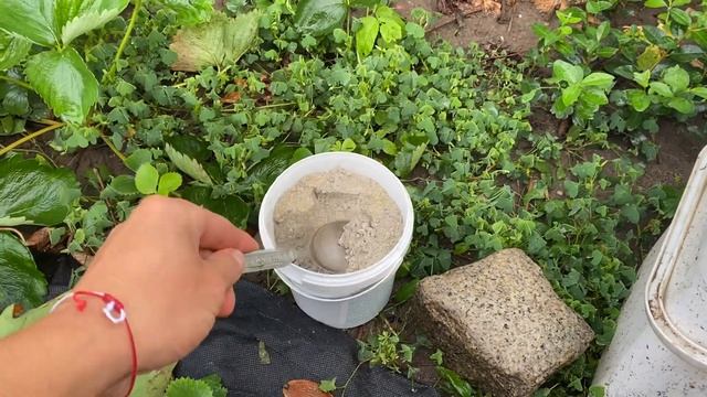 Компостер - споделяне на опит и впечатления смотреть онлайн