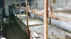 Разведение червей для рыбалки