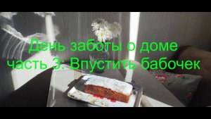 День заботы о доме часть 3. Впустить бабочек.