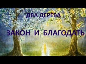 #1 Два дерева — Благодать и закон