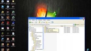 Что делать если Fifa 12-13 вылетает при её запуске.