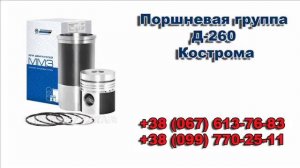 Поршневая группа Д-260 Завод Двигатель