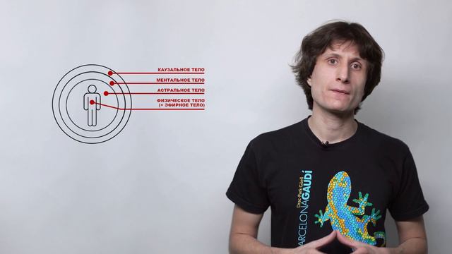 Тонкое строение человека (7 тел), Матрица - функции, свойства, примеры.