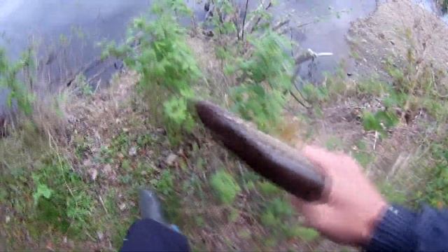 ЛОВЛЯ ЩУКИ на живца и спиннинг С БЕРЕГА.РЫБАЛКА НА УРАЛЕ река Каква/CATCHING PIKE on live bate смотреть онлайн