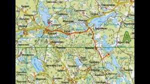 Высота 228/4 Заозерная Пустошкинский район Псковской области