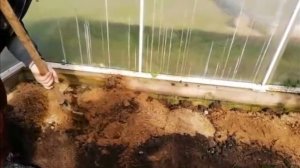 Подготовка грунта в теплице для высадки томатов