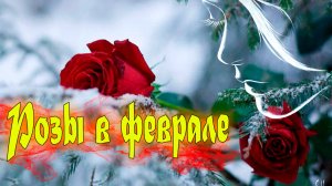 Песня просто класс! Послушайте! Евгений Войнов - Розы в феврале !