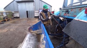 Убираем зерно в складу, готовим зерно к отгрузке, работа на позитиве))