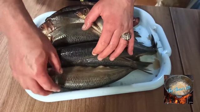Солим Олюторскую сельдь, с последующем холодным копчением?, пробуем дымогенератор и коптильный шкаф