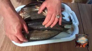 Солим Олюторскую сельдь, с последующем холодным копчением?, пробуем дымогенератор и коптильный шкаф