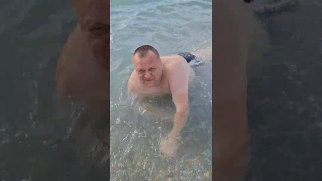 Морская черепашка!