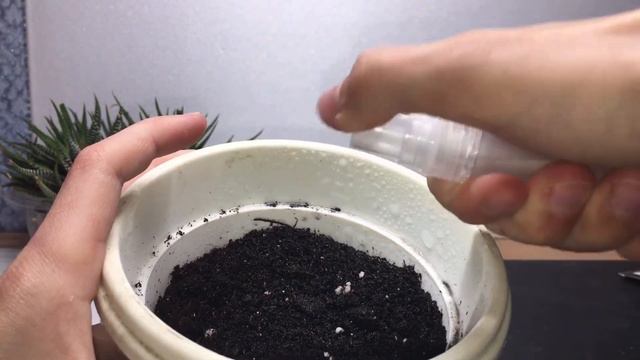 Посадил уличные растения в доме.Что будет? смотреть онлайн