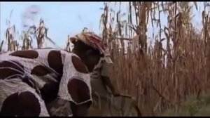 Salif Keita   Moussoulou