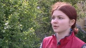 Городские вороны: как к ним относиться?