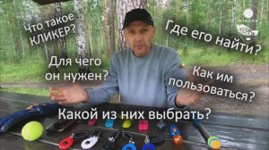 Что такое кликер? Зачем он нужен для собаки?