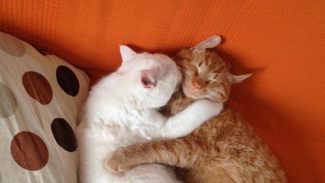 Нежность смотреть онлайн