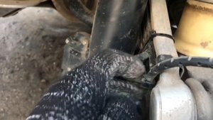 Красота или комфорт, разноширокие колёса R20, BMW X5 E70.