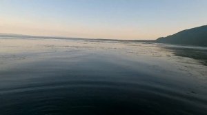 Рыбалка на Сахалинскую креветку /Чилим/ Fishing for Sakhalin shrimp.