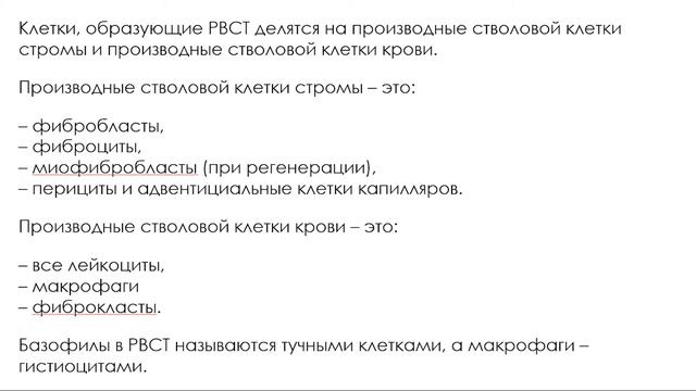 Соединительные ткани