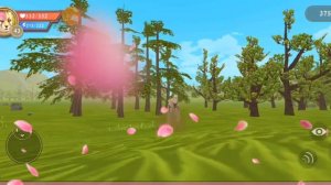 Информация : почему и как я начала снимать фильмы Wild craft 💓.