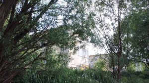 Калининград Königsberg Водоём возле улицы Нансена