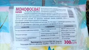 Вызревание лозы. Жирующие побеги. Подкормка винограда.