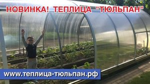 Теплица Тюльпан - первая в России теплица с открывающейся крышей и боками!