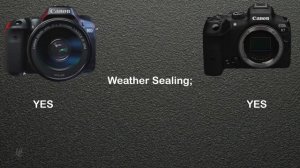 Canon 90D vs. Canon R7: Which Is Better?