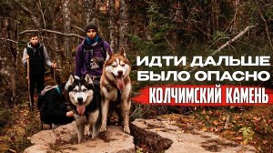 ВВЕРХ ПО СКАЛАМ С СОБАКАМИ | ДОГТРЕКИНГ С ХАСКИ НА КОЛЧИМСКИЙ КАМЕНЬ