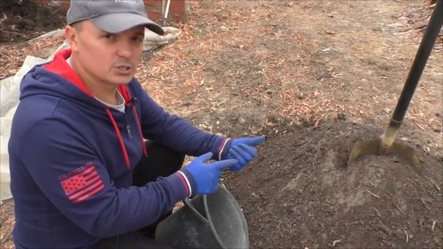 Как вырастить шикарную гортензию? Правильная посадка и уход. Метельчатая и крупнолистная.