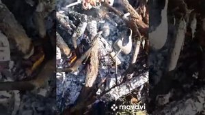 Лесной #шурф2019 ! Как #правильно #шурфить или вообще как шурфить ! Интересные находки на шурфе