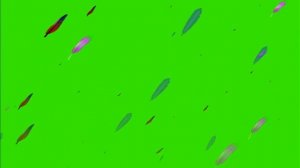 Футаж падающие разноцветные перышки на зеленом /Footage of falling multicolored feathers on a green