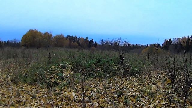 Встреча на урочище ХЭ... смотреть онлайн