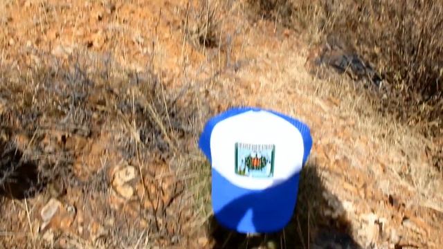 BUSCANDO FEROCACTUS HISTRIX смотреть онлайн