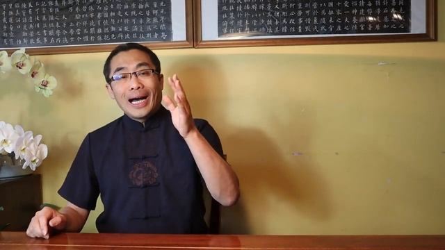 Мастер Ян Хай.  Концепции Сю Дао 21.   Введение в Сю Дао, составные блоки Сю Дао смотреть онлайн