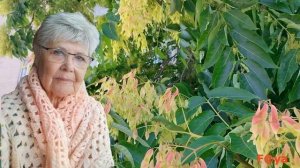 Очень нежная песня для мамы от сына. Мама - самый дорогой и преданный человек на земле.