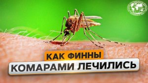 Коми: встречи на пути к Маньпупунеру  | @Русское географическое общество