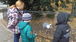 Калининградский зоопарк -2015