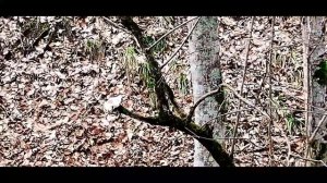 Геленджик. Садовое Товарищество "Пищевик".