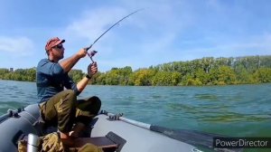 Ловля окуня на дроп-шот КОТОРЫЙ ЛОВИТ ВСЕГДА