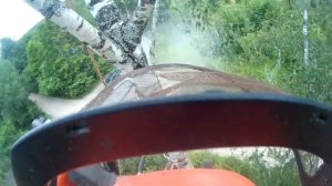Удалить дерево на участке !  Валка деревьев Частями !