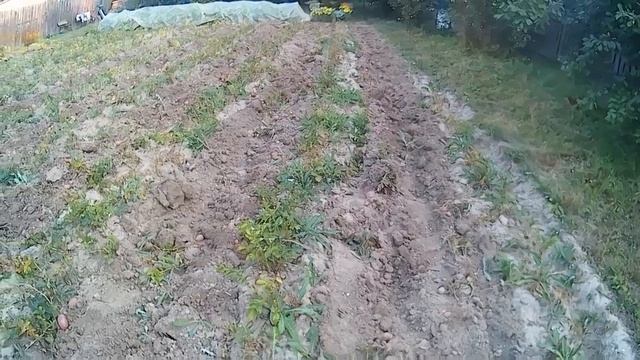 мотоблок угра и урожай 2022. смотреть онлайн