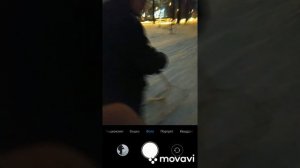 Финские сани