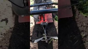 Прополка и окучивание картофеля