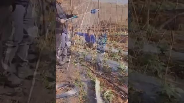 Инструменты которые упрощают работу в хозяйстве
