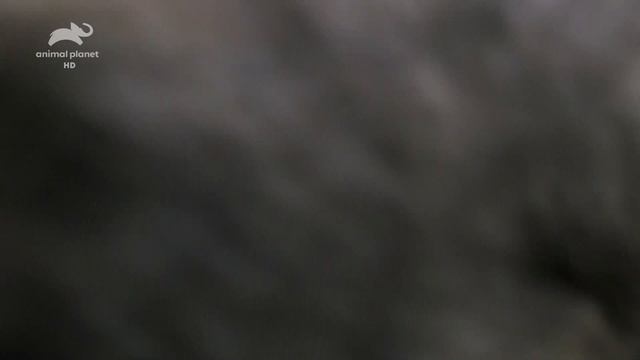 2 смотреть онлайн