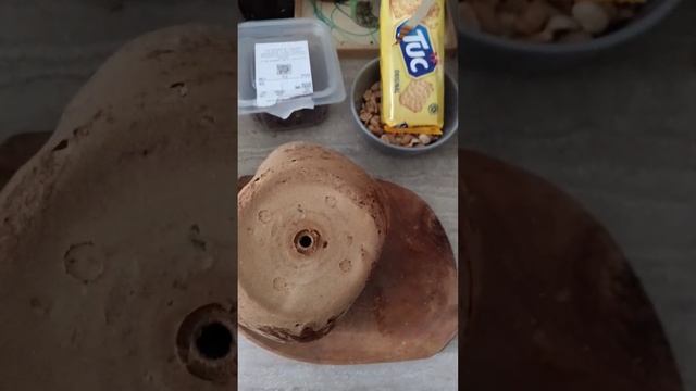 Pâine făcută la mașina de pâine Tefal B13B B13-B. смотреть онлайн